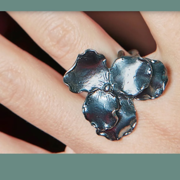 Panzè Adjustable Ring in Oxidized Silver - Picture 2 of 6